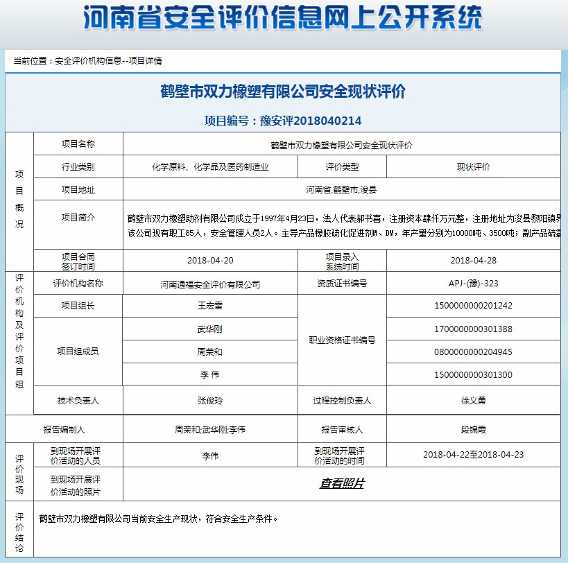 鹤壁市双力橡塑有限公司安全现状评价