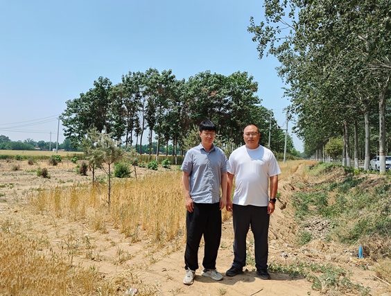 清丰县中旭新能源有限公司加油站项目安全条件评价