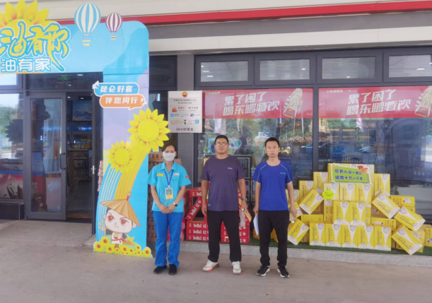 中国石油天然气股份有限公司河南平顶山销售分公司凌云路湛南加油站安全现状评价